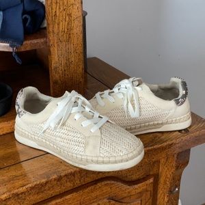 These are Walmart shoes, good condition